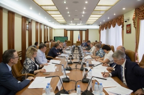 Елена Афанасьева приняла участие в совещании по вопросу парламентского контроля